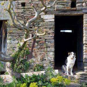 gite jaune bonbon bretagne morbihan la gacilly carentoir