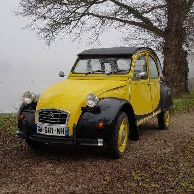 deudeuche jaune gite jaune bonbon